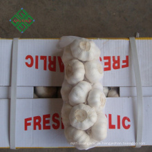 Top neue Ernte frischen natürlichen reinen weißen Knoblauch Lieferanten